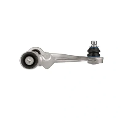 Image de DELPHI TC3892 bras de suspension oscillant longitudinal BMW: X5, X6