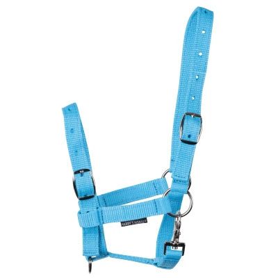 Image de Harry&#039;s Horse Cheval licol poulain Full Veulen Bleu Clair