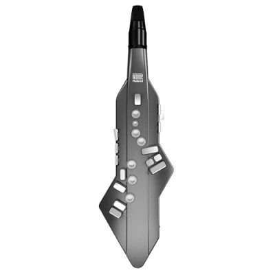Image de Instrument à vent numérique Aerophone GO AE 05 Roland, avec appli gratuite Plus et étui de transport, Acrylonitrile butadiène styrène, noir