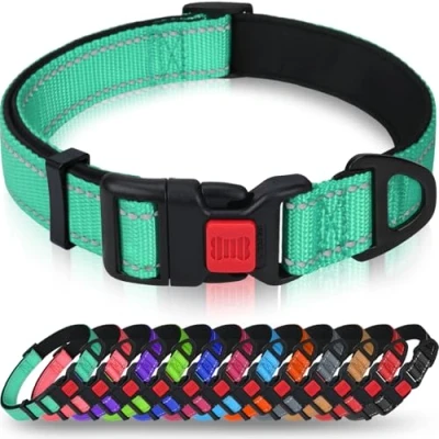 Image de Taglory Collier pour Chien, en Nylon Réfléchissant Réglable Classique avec Rembourré Doux Respirant Mesh Petits Chiens, S, Turquoise