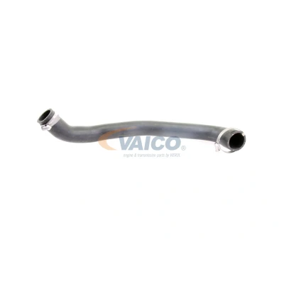 Image de VAICO V25 0993 Gaine De Suralimentation Caouchouc textilé Q+, Première Monte FORD: FOCUS 3, C Max 2, 3 Turnier