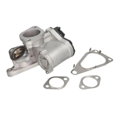Image de Vanne EGR DELPHI EG10631 12B1