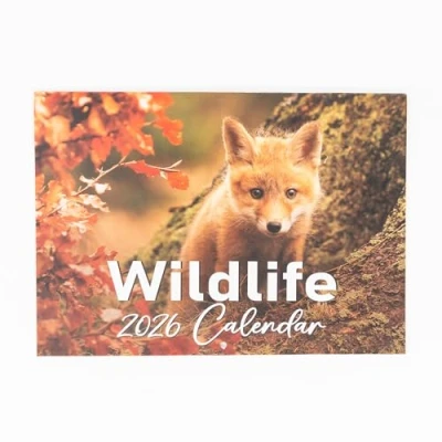 Image de Evelay Calendrier mural 2025 A4 avec vue mensuelle sur la faune britannique, format A3, pour maison, le bureau (faune britannique)