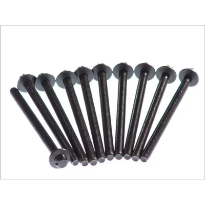 Image de ELRING 125.920 Jeu De Vis Culasse Torx extérieur OPEL: Corsa B 3/5 portes, C D VAUXHALL: Mk1