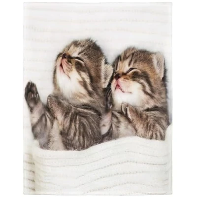 Image de Yisumei couverture douce en flanelle Motif chatons, polaire douillette, couvre lit, Polyester, Blanc., 150x200 cm