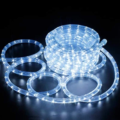 Image de Forever Speed 6 Mètres LED Tube Lumière Lumineux, Tubes Lumineux Extérieur et Intérieure pour Jardin, Noël, Mariage, Fête,Salle de Séjour, Tuyau Bande IP65,Blanc Froid