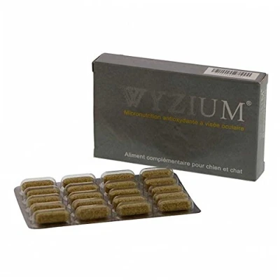Image de WYZIUM 40 COMPRIMES