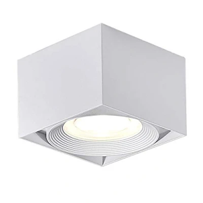 Image de Dr.lazy 10W LED Plafonnier spots lampe,Spots de plafond,Applique Plafond, plafond orientables,LED Plafonniers,Éclairage plafond,IP20,10x10x7cm (Blanc 4000K)