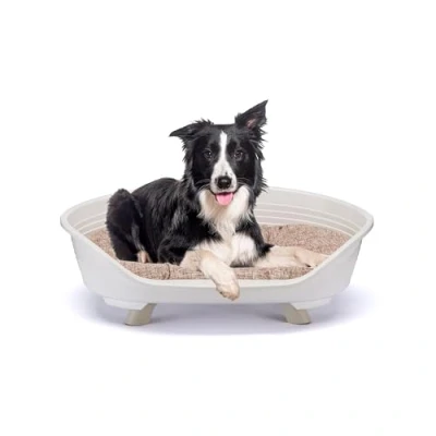 Image de Ferplast Panier Chien avec Coussin en Coton, Lit sureleve Chien, pour Plastique Moyen, Recyclé, Corbeille Respirant Antidérapant, Throne 82 x 59,5 h 29,5 cm, Blanc