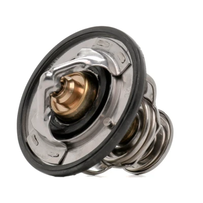 Image de Thermostat d&#039;eau NTY CTM NS 000