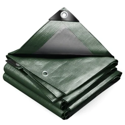 Image de VOUNOT Bâche de Protection en Polyéthylène 240g/m² Imperméable Ultra Lourde et Résistante Revêtue des Deux côtés avec Oeillets Aluminium Piscine Vert Argent 2x3m
