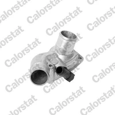 Image de Thermostat d&#039;eau CALORSTAT by Vernet TH6518.92J