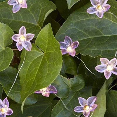 Image de Lights4fun Guirlande Lumineuse 20 Fleurs à Micro LED Blanc Chaud