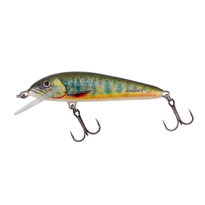 Image de Salmo Minnow 6cm 4gr Floating 0,5 1m Lake Charr Poisson nageurs