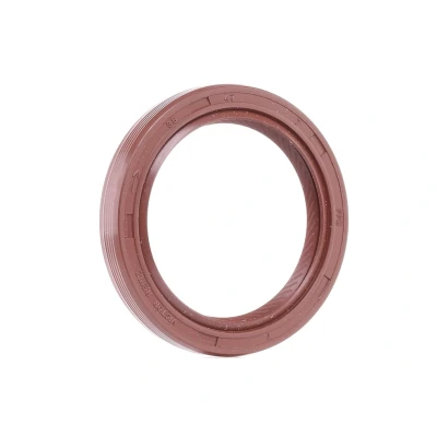 Image de REINZ 81 15855 40 Joint Spi De Vilebrequin FPM (caoutchouc fluoré) RENAULT: Kangoo I, CLIO 1, MEGANE DACIA: Logan I Berline, Sandero Duster SUV