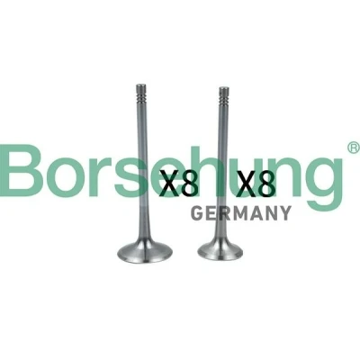 Image de Borsehung B18637 Soupape d&#039;Admission VOLKSWAGEN: Golf 6, Polo V 3/5 portes, 4, AUDI: A3 Sportback, TT Coupe, SEAT: Ibiza 4