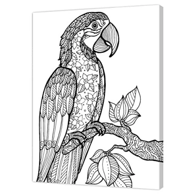 Image de Pintcolor 7805.0 châssis avec Toile imprimée à colorier, Bois de Sapin, Blanc/Noir, 40 x 50 3,5 cm