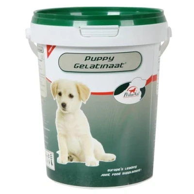 Image de Primeval Gelatinate Puppy