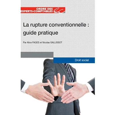 Image de LA RUPTURE CONVENTIONNELLE GUIDE PRATIQUE Livre d’occasion Bon
