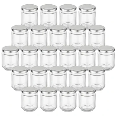 Image de gouveo Lot de 24 Bocaux conservation ronds 190 ml avec couvercle à visser argenté Petits pour la et le stockage