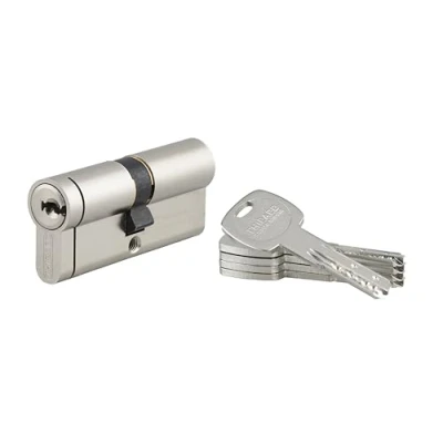 Image de Cylindre de Serrure 35x35mm TRANSIT 2 Système Sécurité Finition Nickel Usage Porte d&#039;Entrée Fonction Urgence Fabriqué en France Livré avec 5 Clés Longues THIRARD