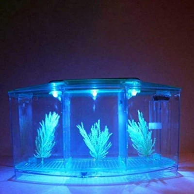 Image de Aquarium en Verre avec Couvercle et lumières LED, LED d&#039;éclairage, Complet Bocal Poisson, Cadeaux Créatifs pour Enfant Adulte, Mini USB Lampe Méduse. (Bleu)