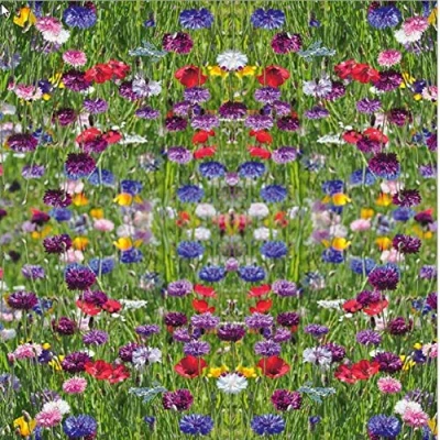 Image de Lot de 20 serviettes table Flower Field Champ fleurs multicolores / prairie 33 x cm