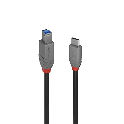 Image de LINDY Anthra Line Câble USB 3.2 Type C vers B 2 m