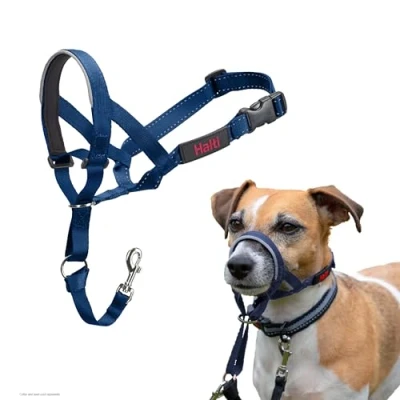 Image de Licol HALTI pour Que Votre Chien arrête de Tirer sur sa Laisse, Facile à Enfiler, Partie entièrement matelassée Le museau, Colliers Anti Traction Petits Chiens (Taille 1, Bleu Cobalt)