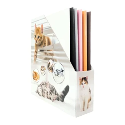 Image de HERMA 19717 Porte revues pliable A4 avec motif chat 7,5 cm de large en carton solide pour filles et garçons, classeur sur pied ranger documents, dossiers, dossiers