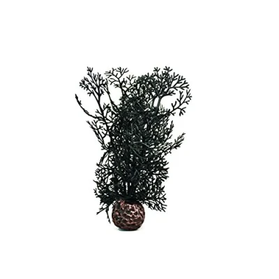 Image de biOrb Corail corné S noir