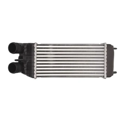 Image de THERMOTEC DAP003TT Intercooler 300 157 80 CITROËN: C3 II, DS3 3 portes, Picasso, PEUGEOT: 208 I 3/5 2008 Break, Van, DS: portes