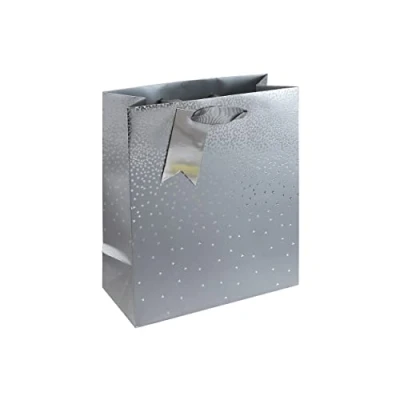 Image de Eurowrap 30864 3Cpack Un lot de 6 sacs cadeaux Excellia Format Moyen 21,5x10,2x25,3cm 210g Motif : Étoiles Sur Fond Argenté Emballage Cadeau, Idéal pour Livre, Jeu, Petits