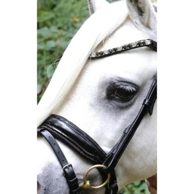 Image de HB Bride Special Noir/Bourgogne A Poney