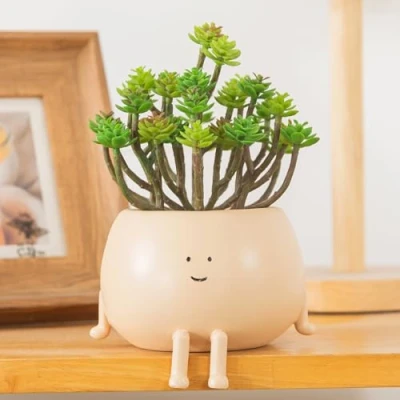 Image de COTYNI Pots Assis, de Fleurs succulentes, Pot en résine avec Trou Drainage, Cactus Unique, Petit pour Mini Plante (Lot 1)