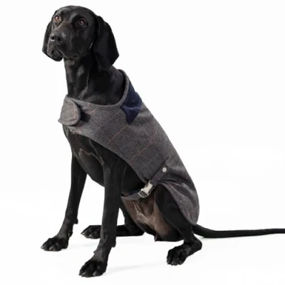 Image de HUGO &amp; HUDSON x Hackett Veste pour Chien en Tweed avec col Velours côtelé, Gris à Carreaux XS25