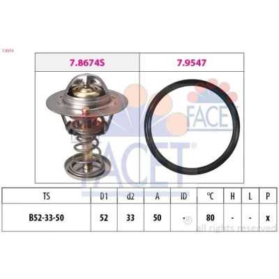 Image de Thermostat d&#039;eau FACET 7.8674