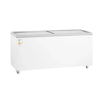 Image de Royal Catering RCFGDF 550 Congélateur l avec portes en verre verrouillables Grand format