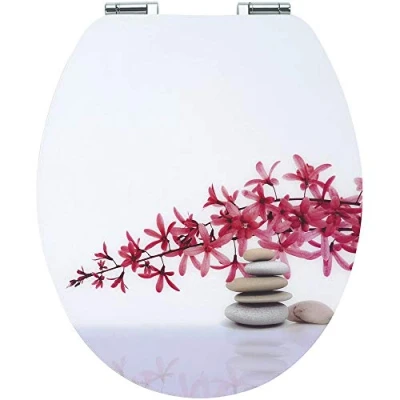 Image de Wirquin 20723914 Abattant WC avec frein de chute Diplomat, motif Zen pierres et fleurs