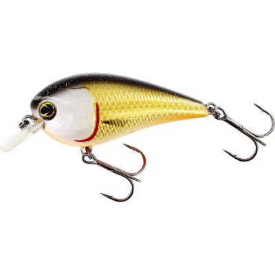 Image de Westin Bassbite 2.5 Squarebill 7cm 16g Flottant Kleur : Official Roach