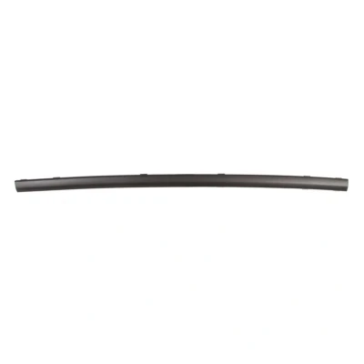 Image de Baguette décorative/de protection, pare chocs BLIC 5703 05 2555972P