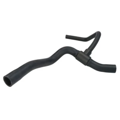 Image de THERMOTEC DWR099TT Durite De Refroidissement inférieur Caoutchouc DACIA: Logan I Berline, MCV, Express