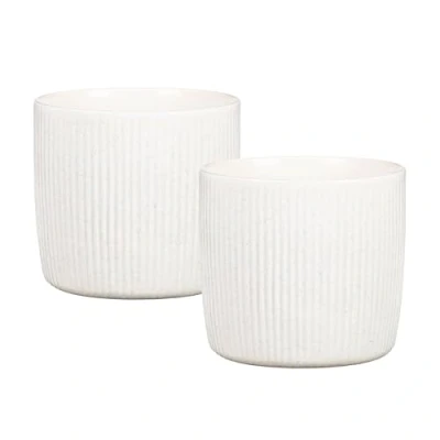 Image de Scheurich Solido Linea Lot de 2 pots fleurs en céramique, couleur : perla, diamètre 15 cm, hauteur 13,7 volume 1,9 l.