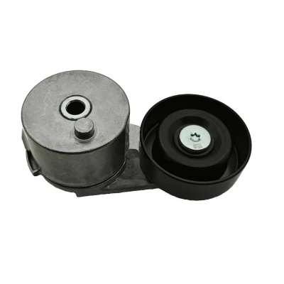 Image de SKF VKM 35219 Galet Tendeur OPEL: Corsa E 3/5 portes, Astra K Adam