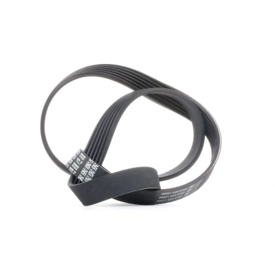 Image de DAYCO 6PK1125 Courroie Poly V 1125,0 6 RENAULT: Clio 4, Kangoo II Express, CITROËN: C3 I 3/5 portes, Pluriel, DACIA: Duster SUV,