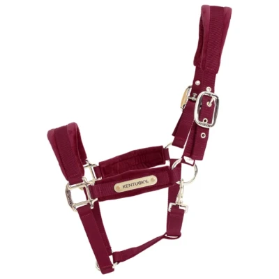 Image de Kentucky Licol velours Bordeaux Full