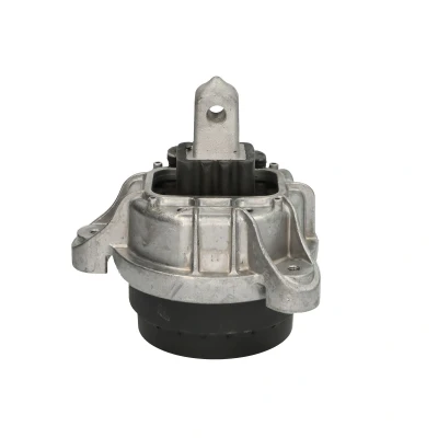 Image de DELPHI TEM253 Support moteur arrière BMW: 5 Berline, Touring, GT