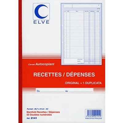 Image de Lebon et Vernay Manifold autocopiant recette/dépense Format 21x29,7cm 50 feuillets dupli