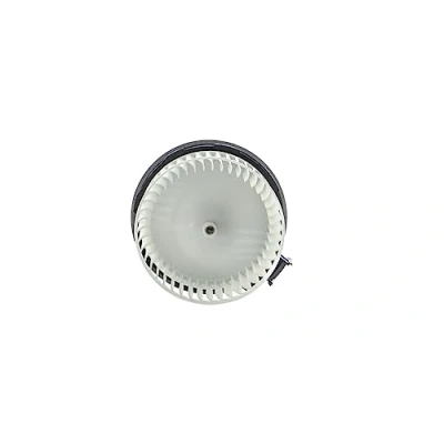 Image de MAHLE ORIGINAL AB 239 000P Pulseur d&#039;Air pour véhicules avec direction à droite FORD: FIESTA 6