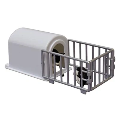 Image de Van Manen 571964 Igloo Box with 2 Calves